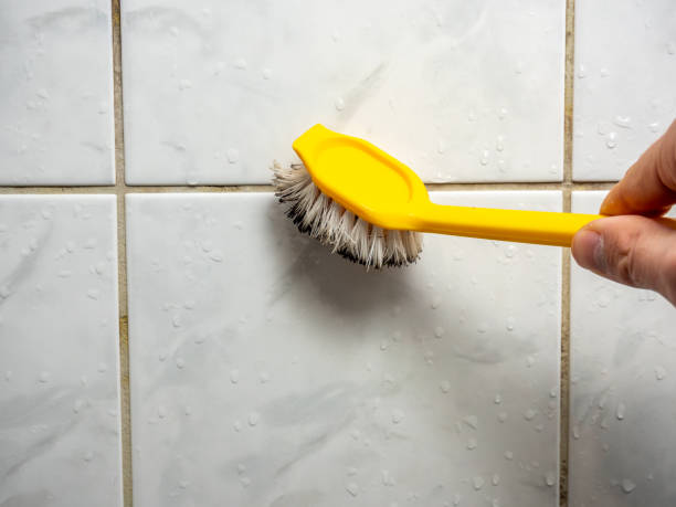 Best Toxic Mold Removal  in Manteno, IL