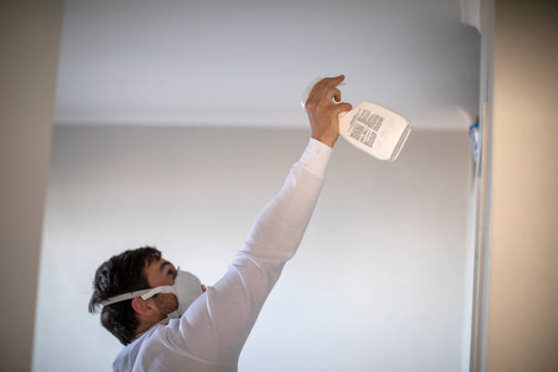 Best Home Mold Removal  in Manteno, IL